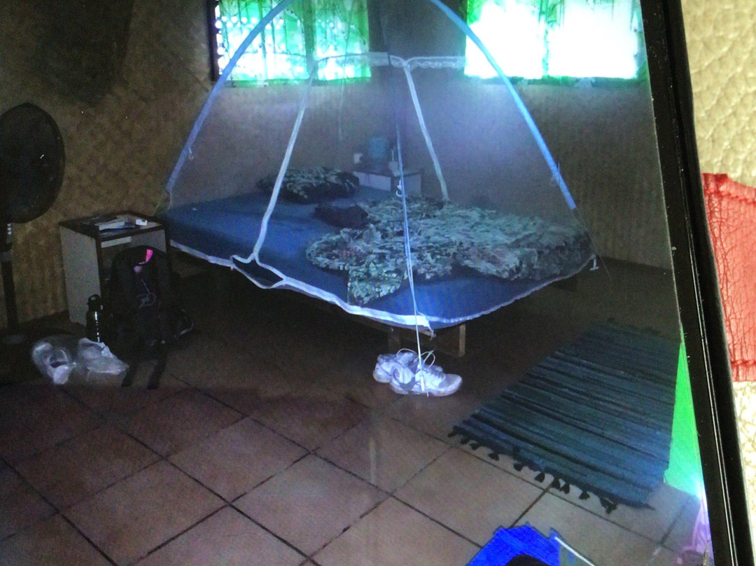 Pension Ariitere主图