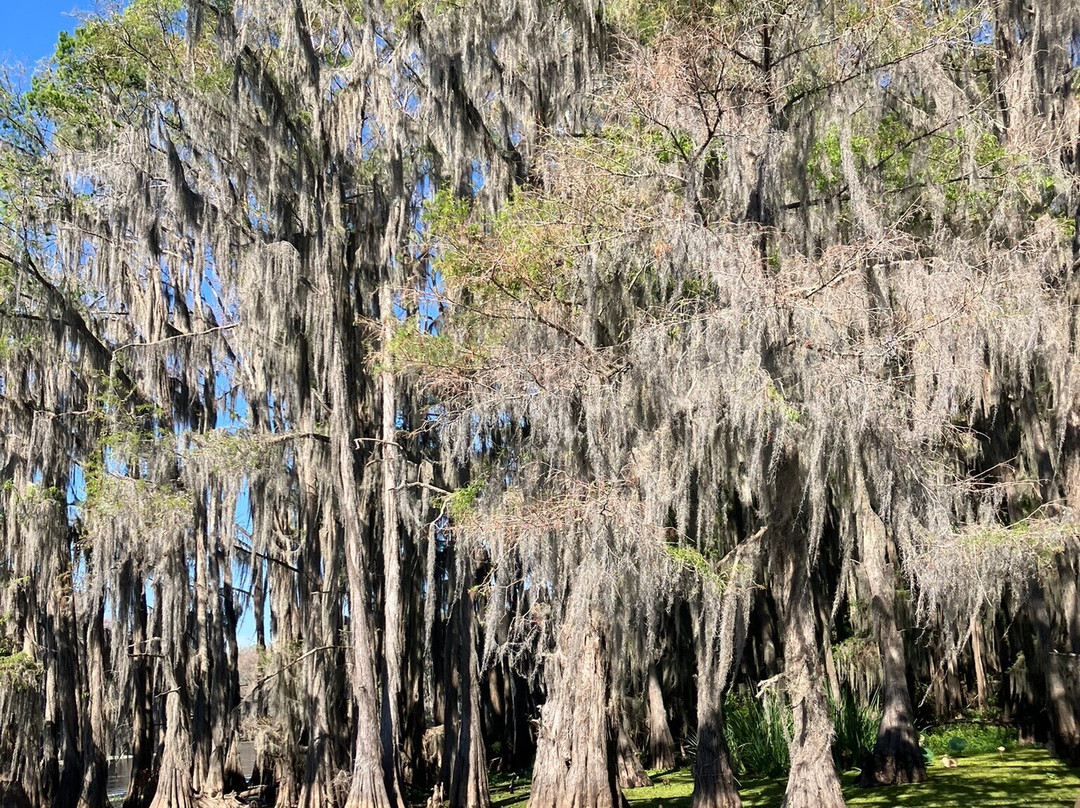 White Oak Manor Bed and Breakfast主图