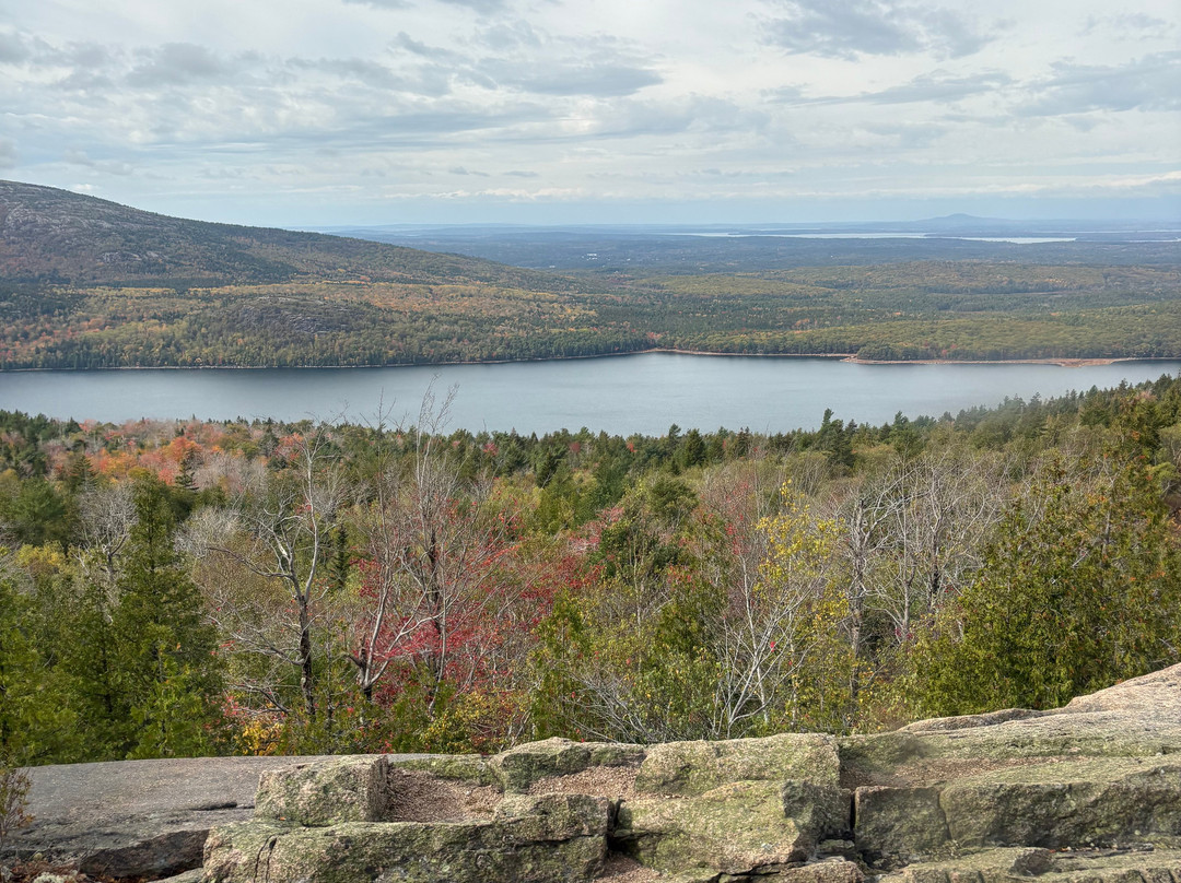 Oli's Trolley - Acadia National Park Tour-巴港必去景点