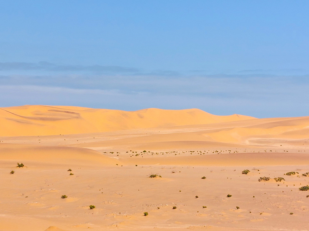 Tommy's Tours and Safaris-斯瓦科普蒙德必去景点