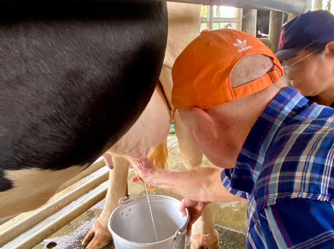 Farm Chokchai-北冲县必去景点