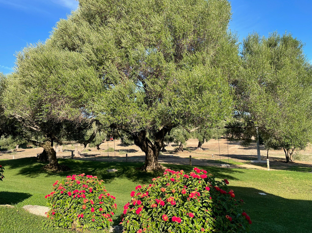 B & B Uddastri Retreat主图