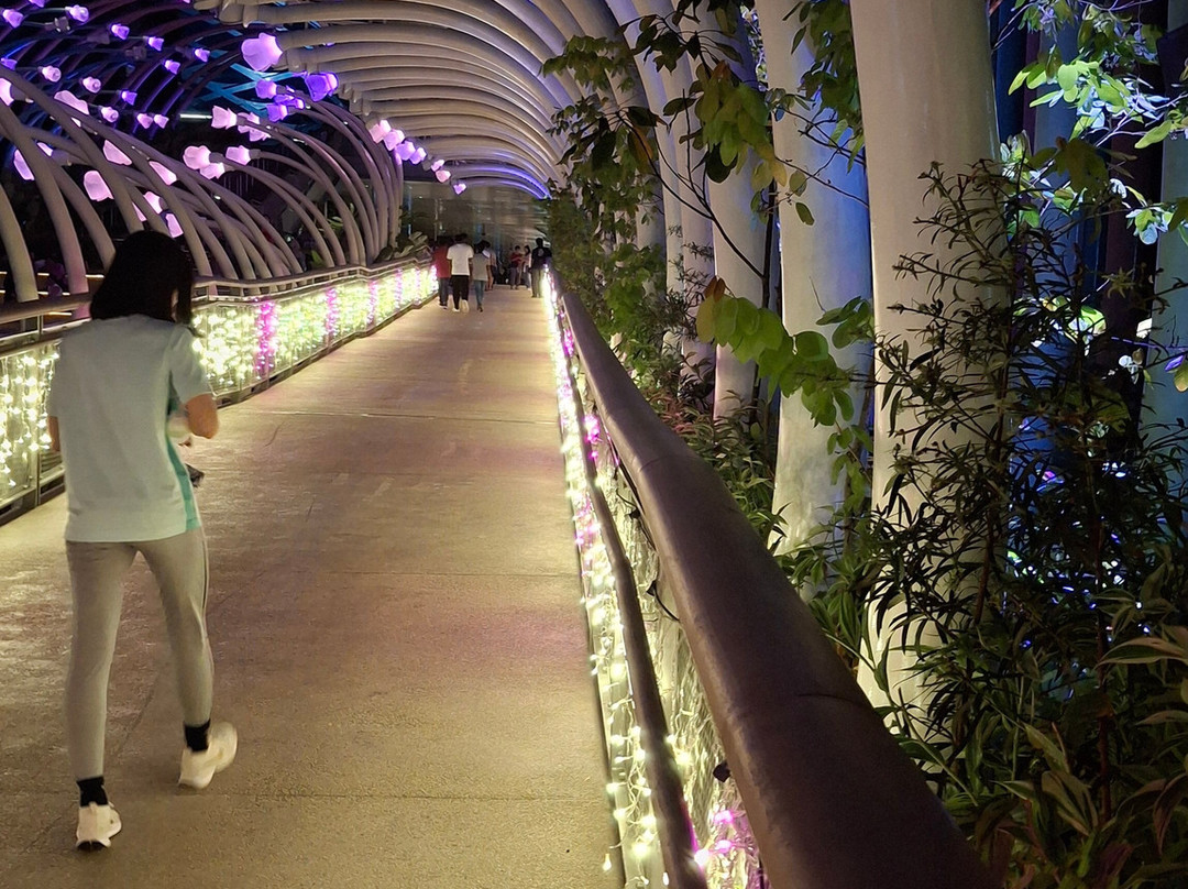 Sentosa SensoryScape-新加坡必去景点