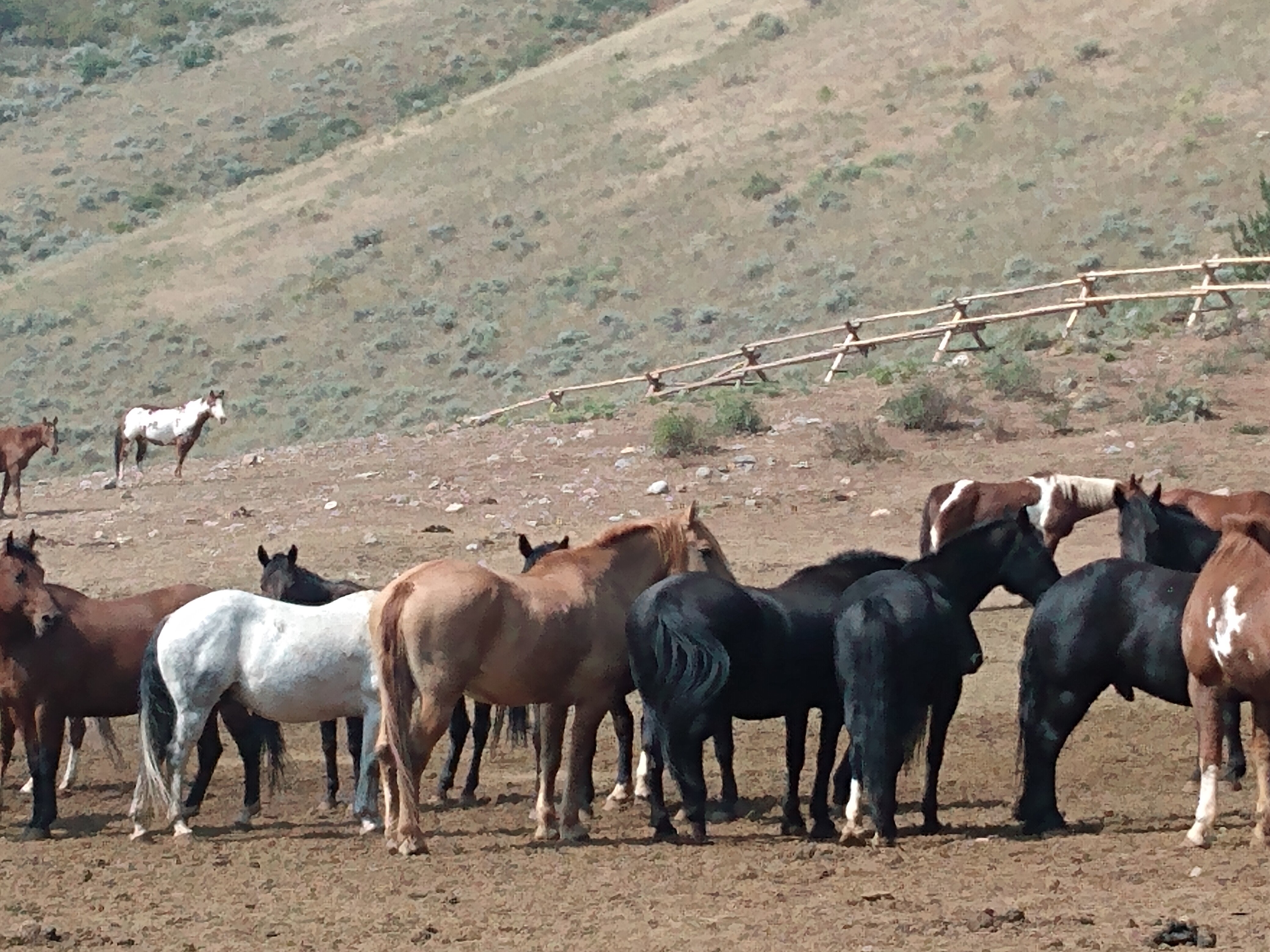 Best Western Outlaw Inn-官方