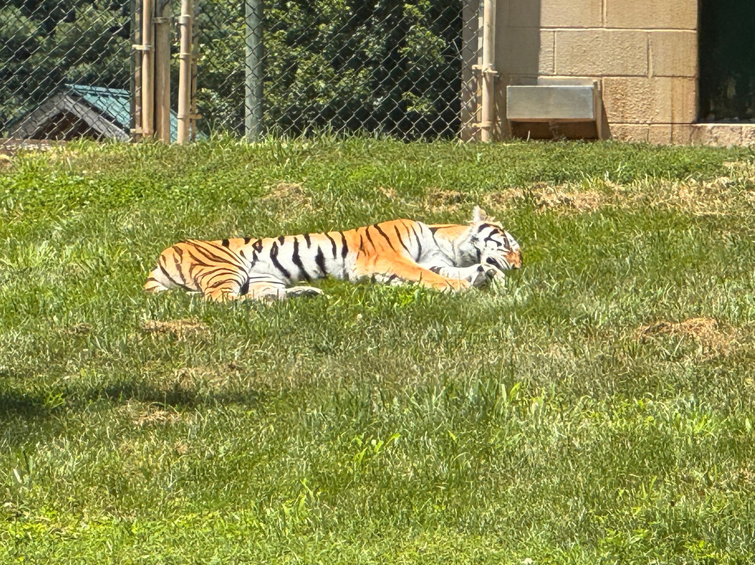 弗吉尼亚游猎公园-天然桥必去景点