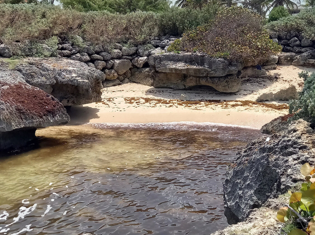 Shark Hole-巴巴多斯必去景点