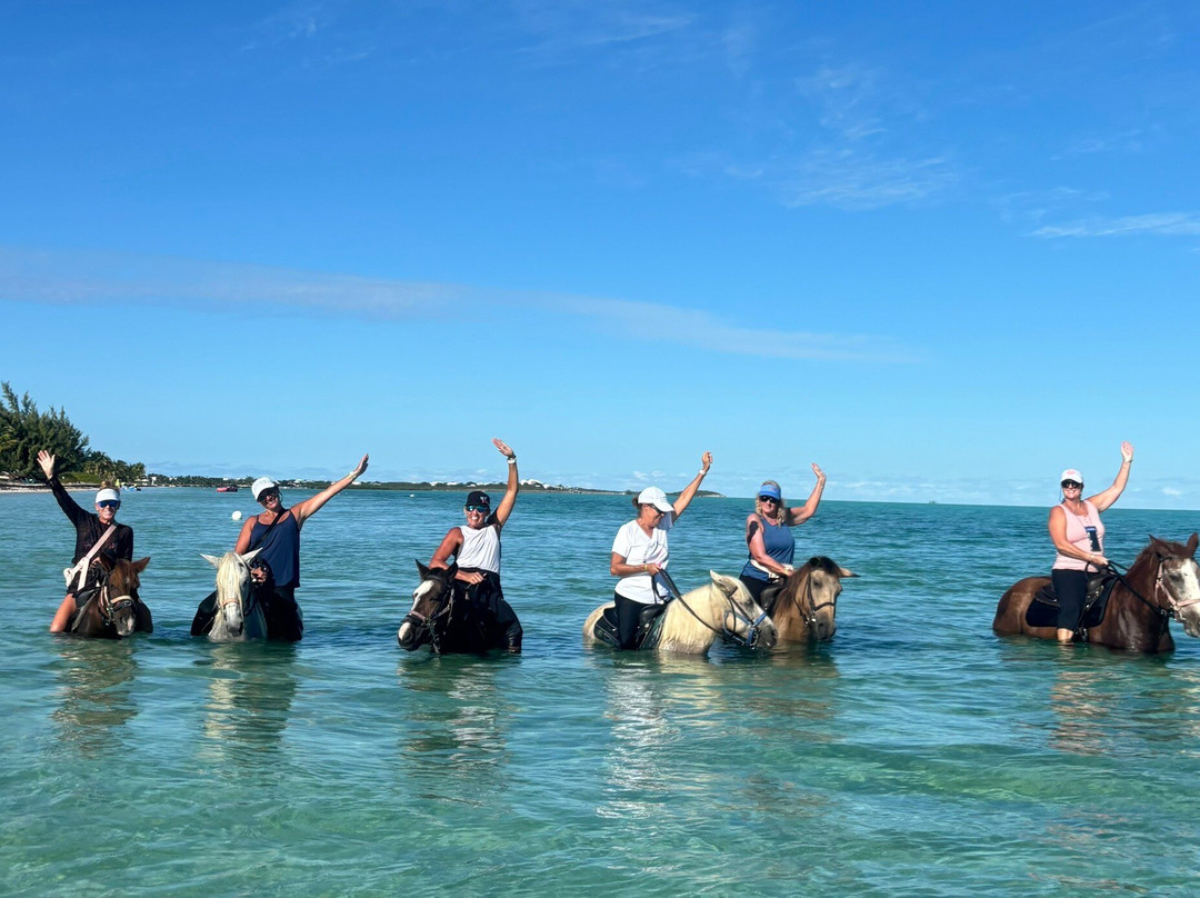 Provo Ponies-Long Bay Hills必去景点