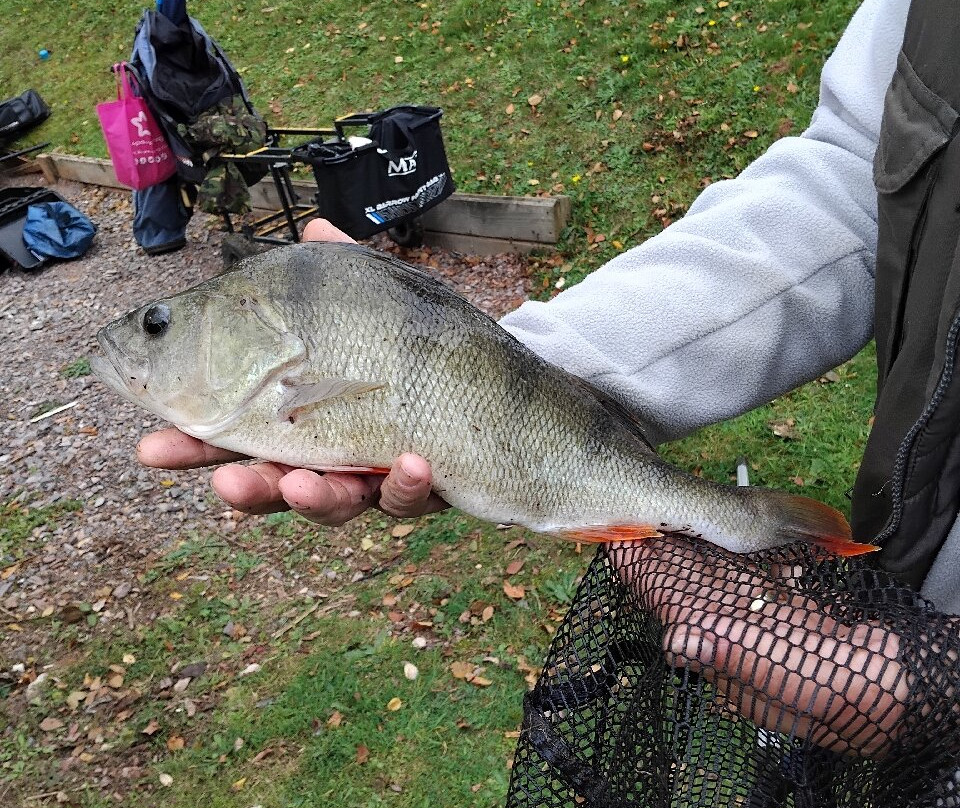 Luccombes Coarse Fishery-Exminster必去景点