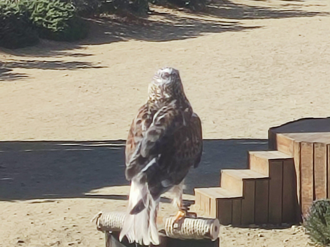 Puy Du Fou España-托莱多必去景点