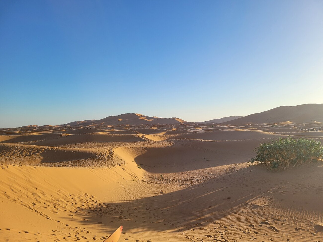 Desert Maroc Tours - Day Tours-扎古拉必去景点