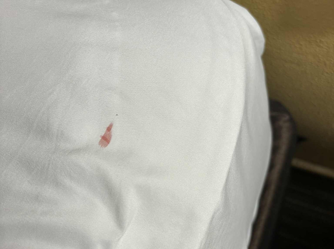 Quality Inn Mitchell I-90主图