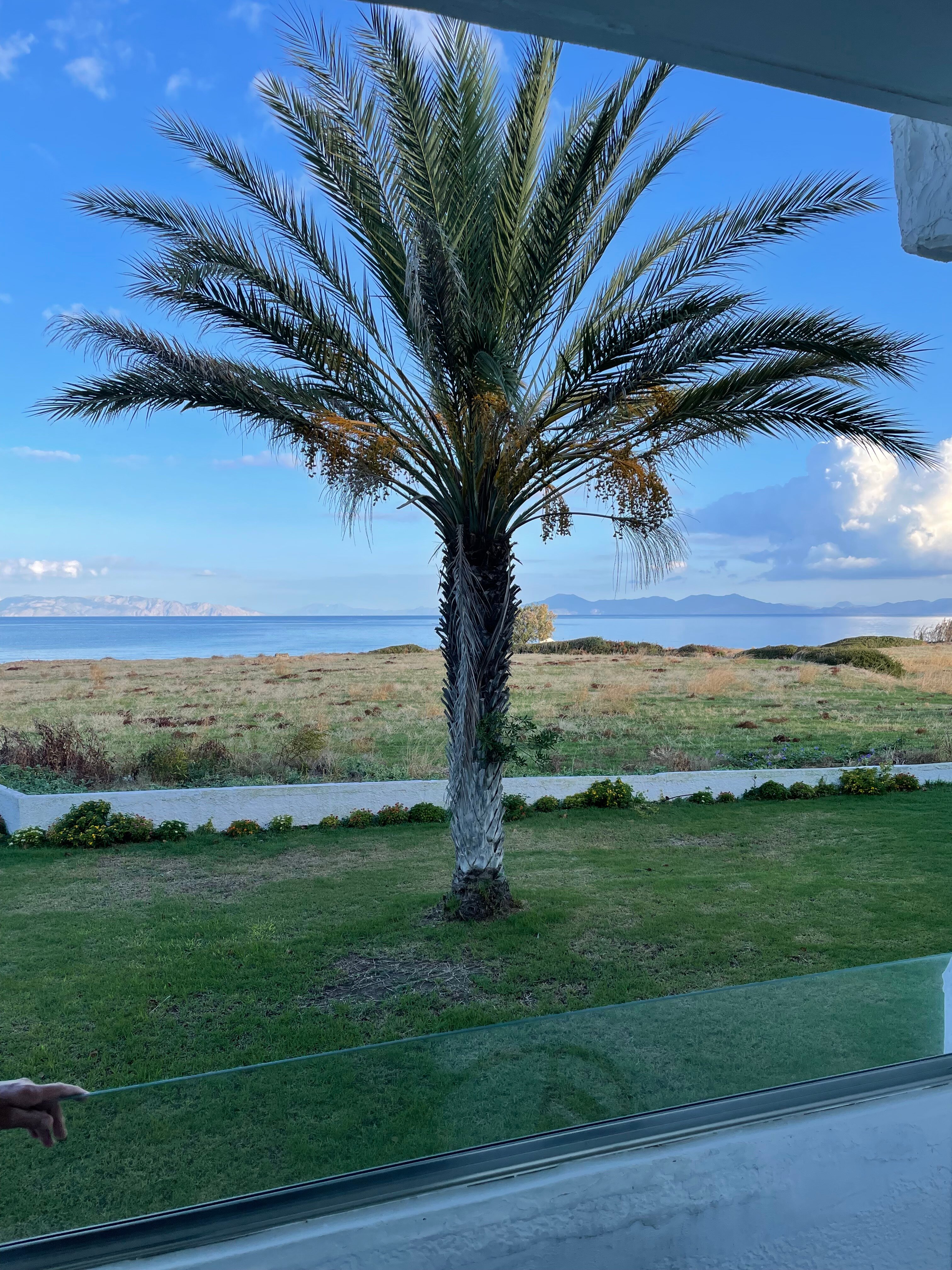 Nirvana Beach Hotel-官方