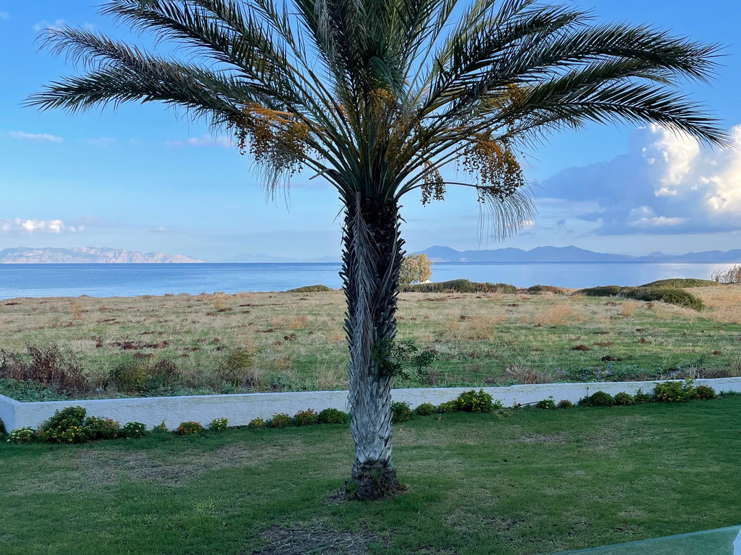 Nirvana Beach Hotel主图