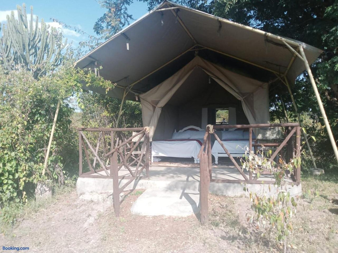 Mara Hill Safari Camp