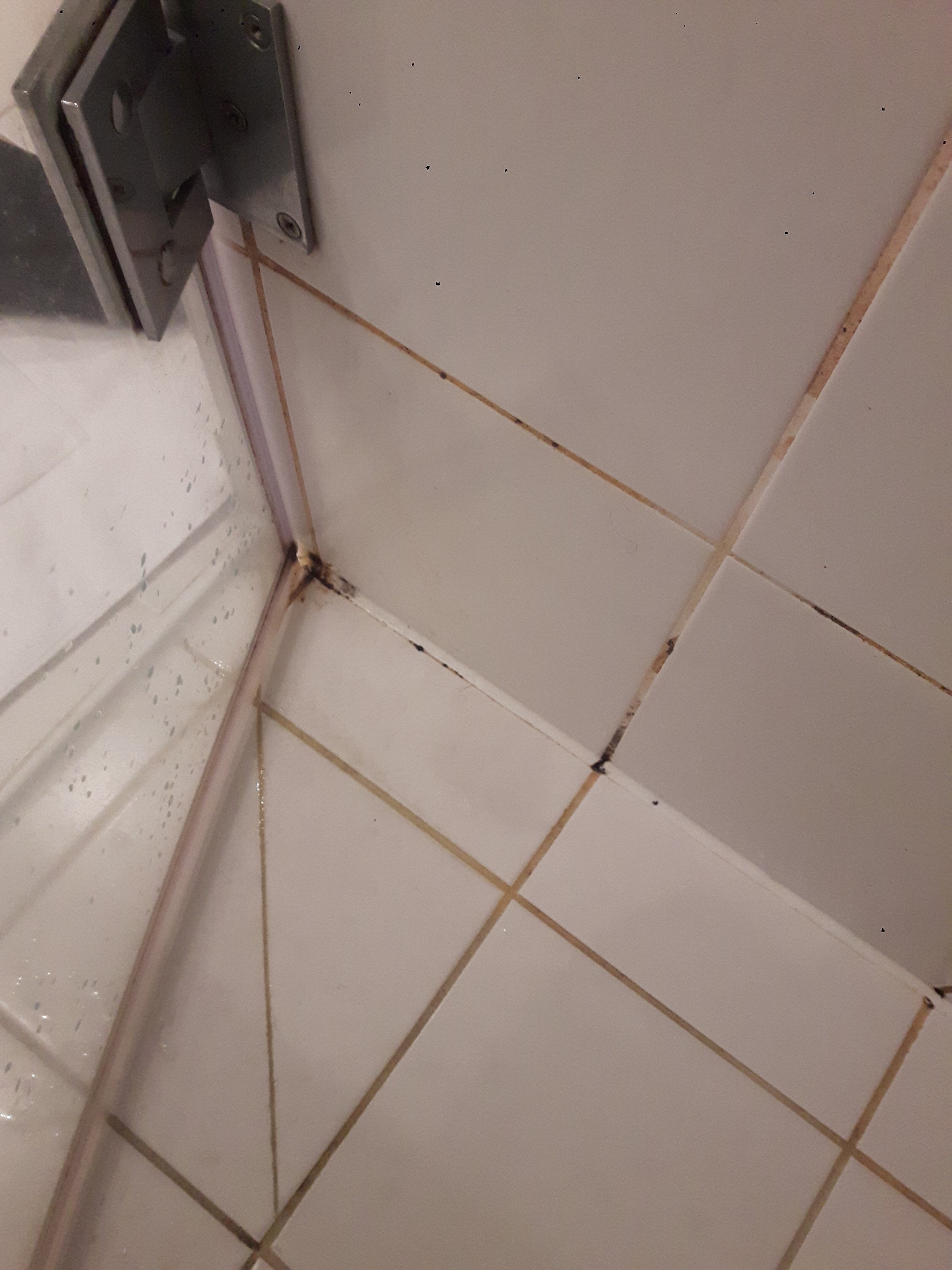 考夫豪斯阿尔特斯酒店-浴室