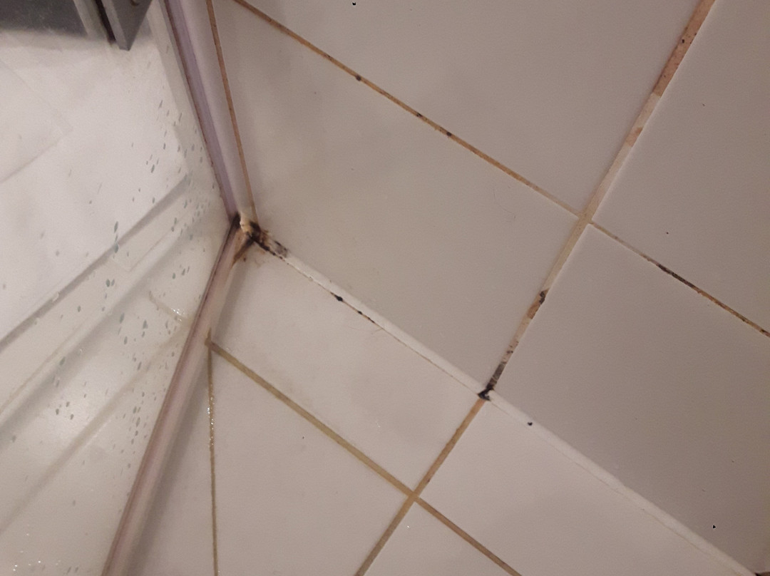 考夫豪斯阿尔特斯酒店主图