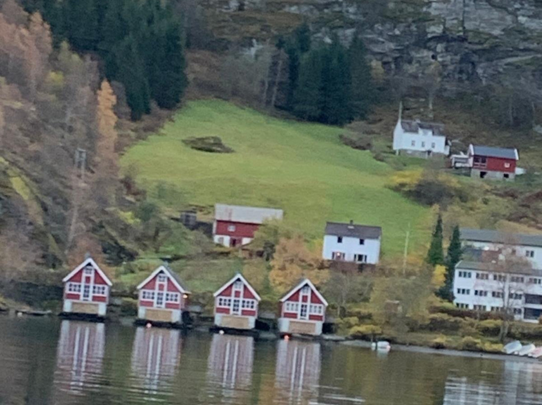 FjordSafari-弗洛姆必去景点