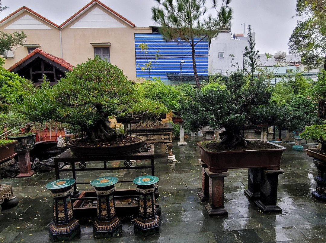 Bonsai Villa Hoi An主图
