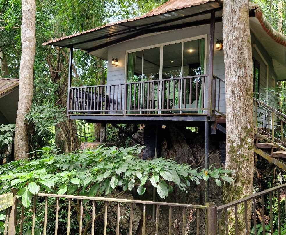 岩石树屋度假酒店主图