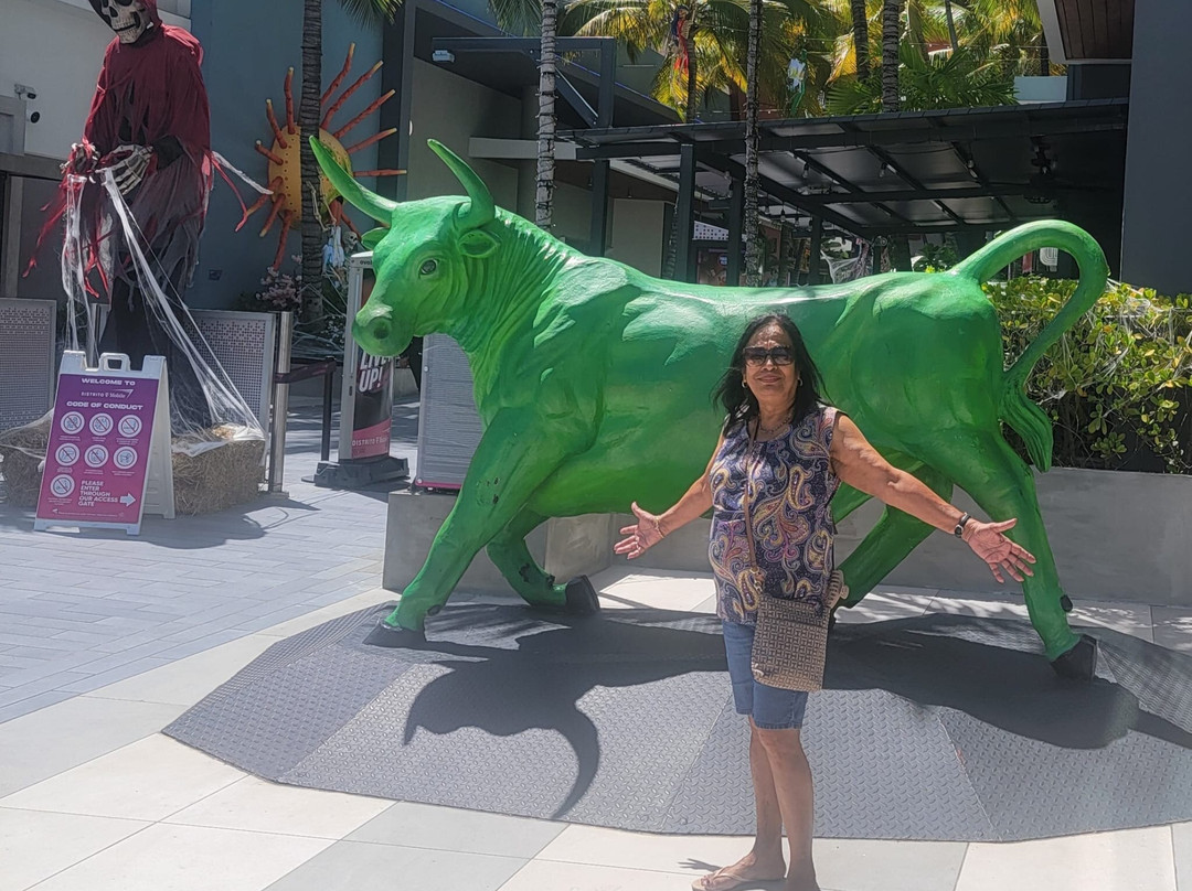 J Star Tours-Manati必去景点