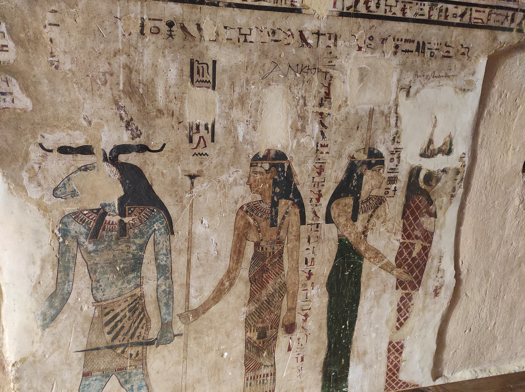 JAZ Neo Almazino, Almaza Bay主图