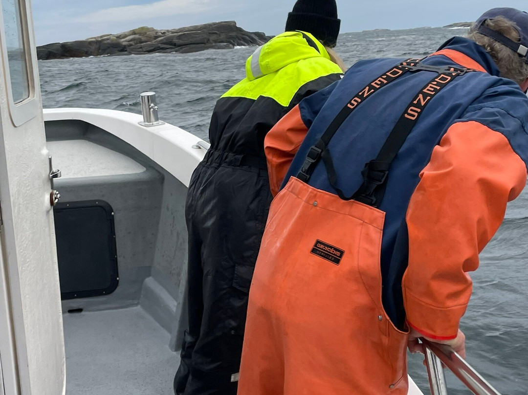 Weather Islands-Fjallbacka必去景点