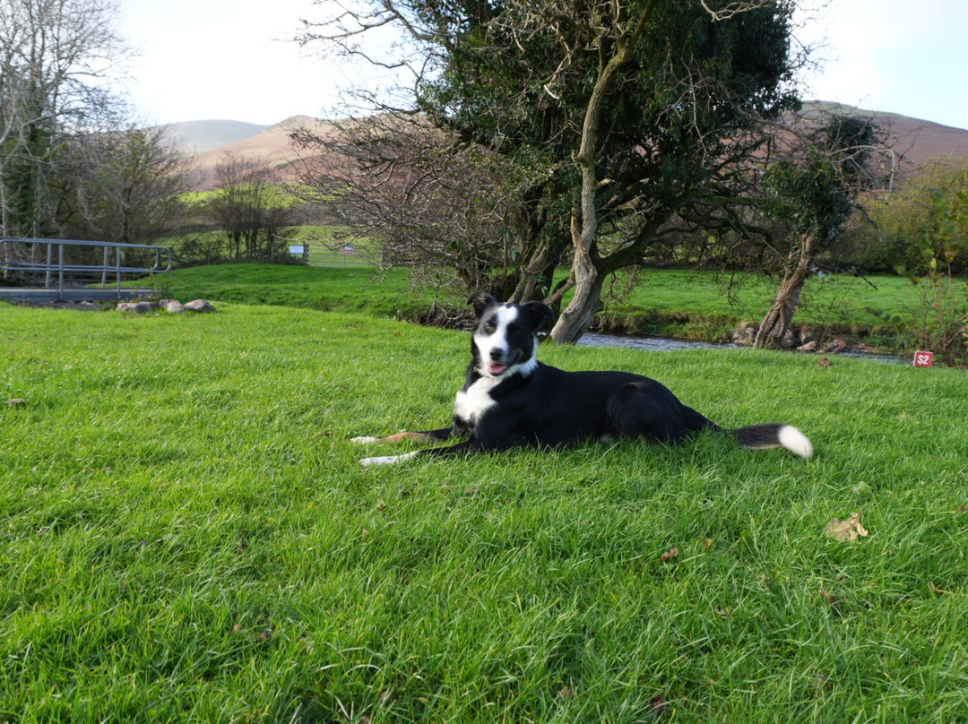 Cumbrian Heavy Horses-Millom必去景点