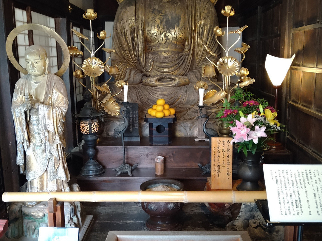 Ryotan-ji Temple-滨松市必去景点