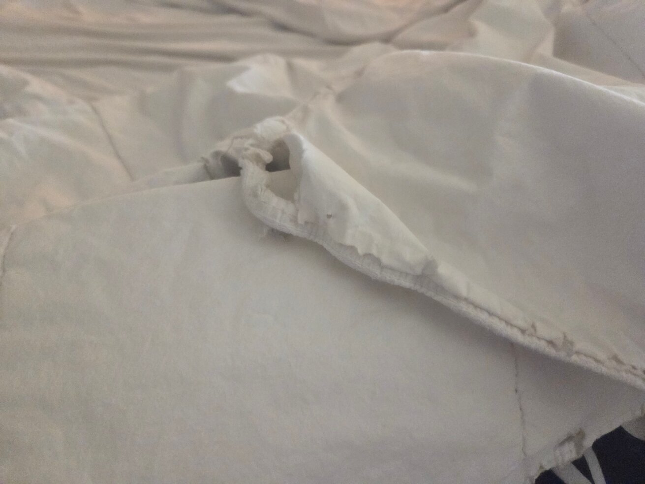 La Quinta Inn & Suites by Wyndham Monahans-官方