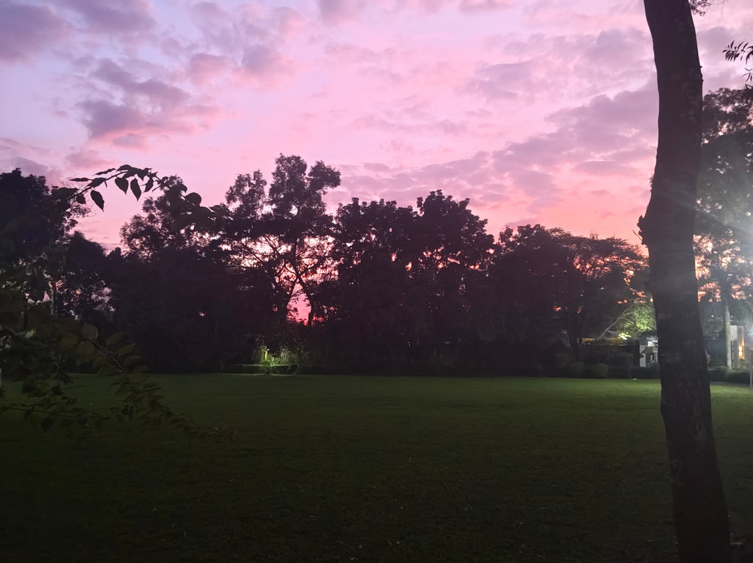 Dream Square Resort主图