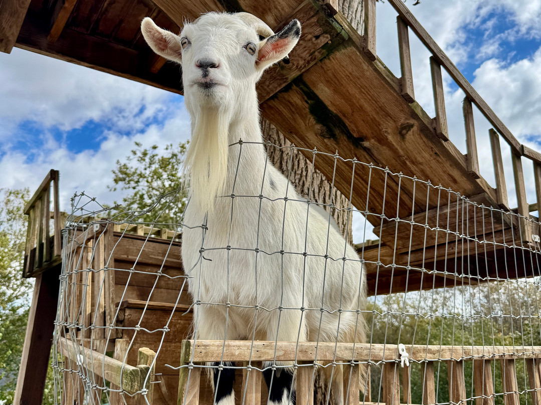 The Amish Farm And House-兰卡斯特必去景点