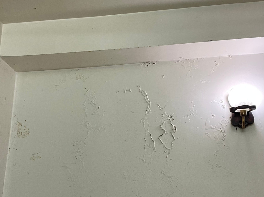 Hotel Aroma Palace主图