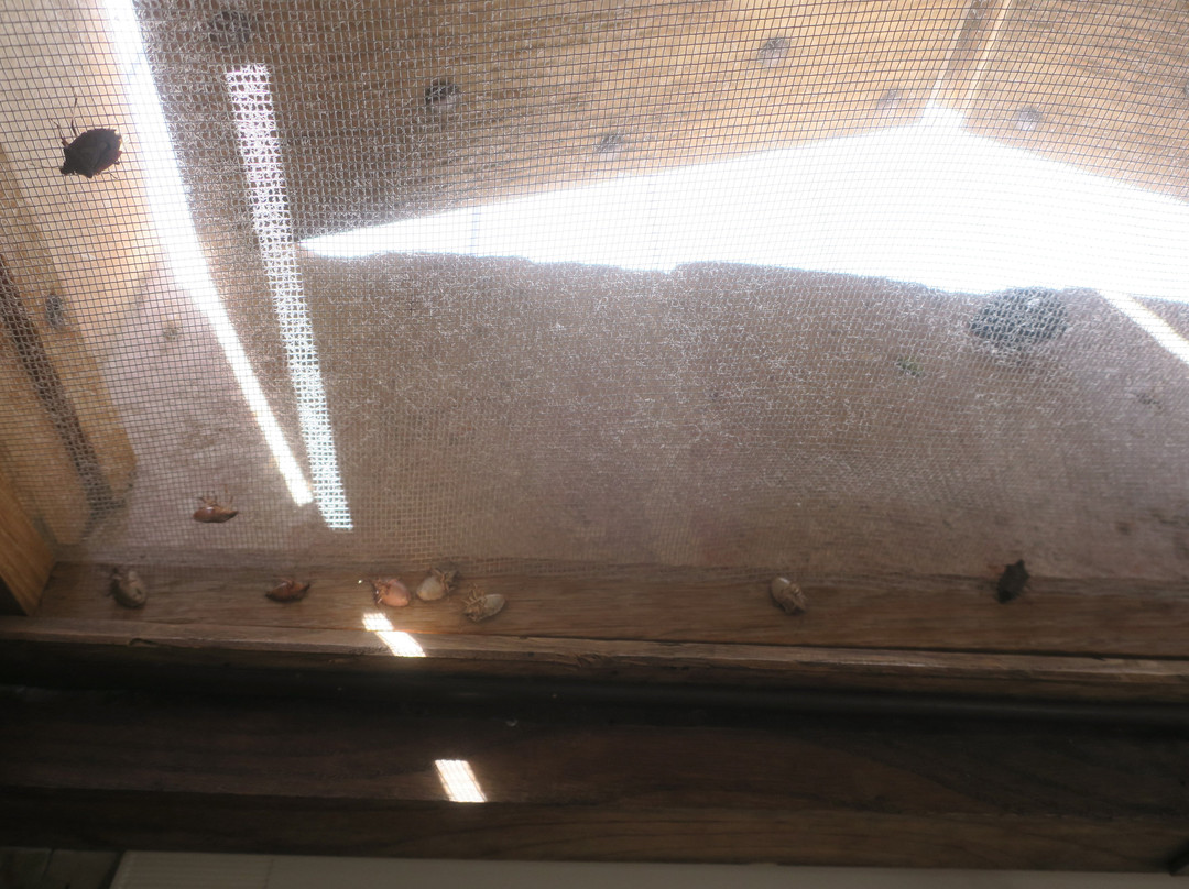 安提卡柯尔特帕拉西纳利来酒店主图