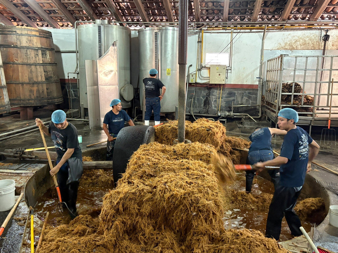 Tequila Fortaleza-特基拉必去景点