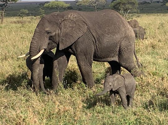 Active African Vacations-坎帕拉必去景点