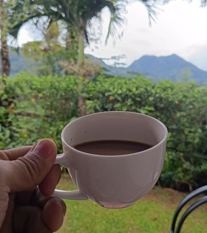 Coffee Mountain Inn主图