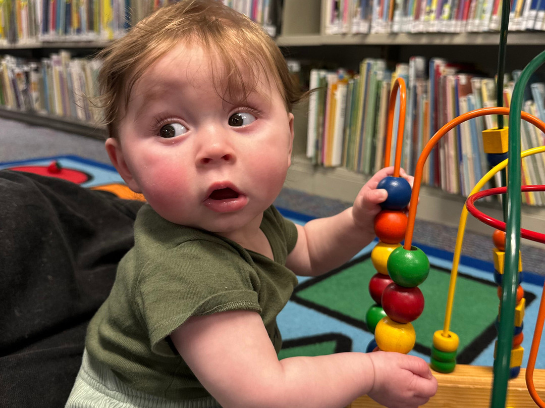 Patchogue-Medford Library-Patchogue必去景点