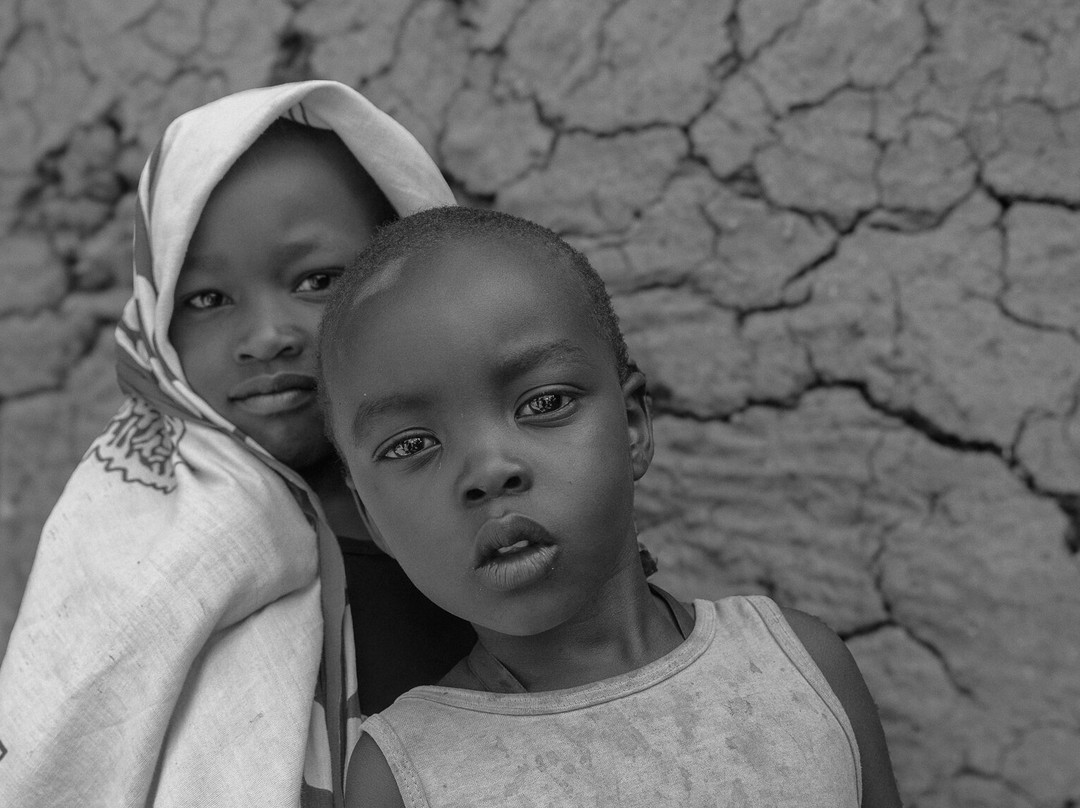 Wild Eye-弗维斯必去景点