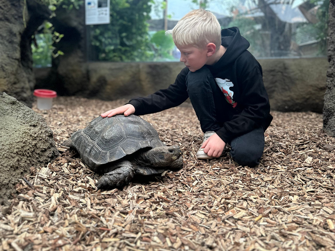 Krokodille Zoo-Eskilstrup必去景点