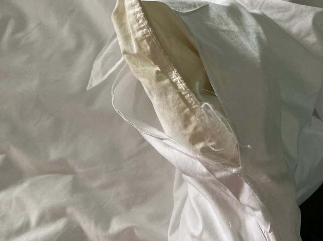 Shrigley Hall Hotel & Spa主图