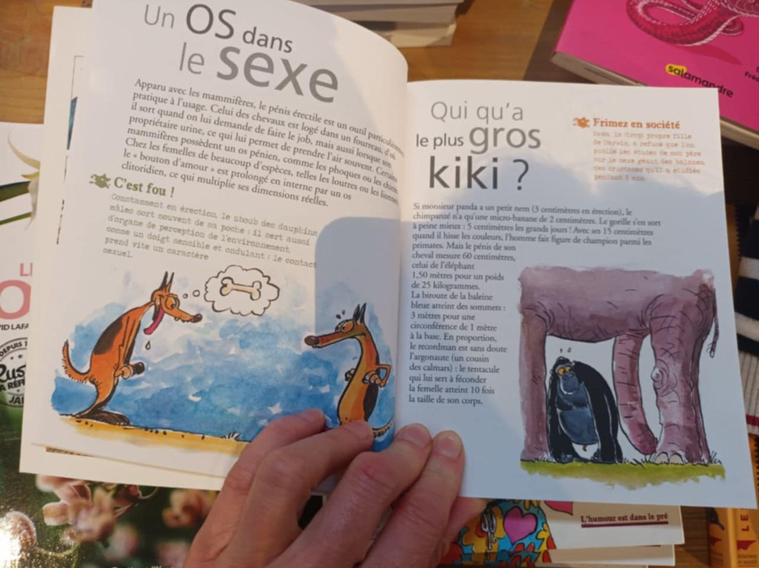 La Ferme Aux Crocodiles-Pierrelatte必去景点