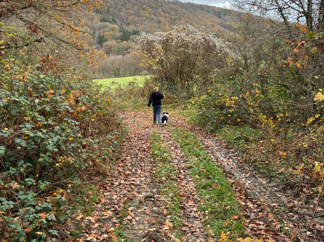 Monsieur Doute主图