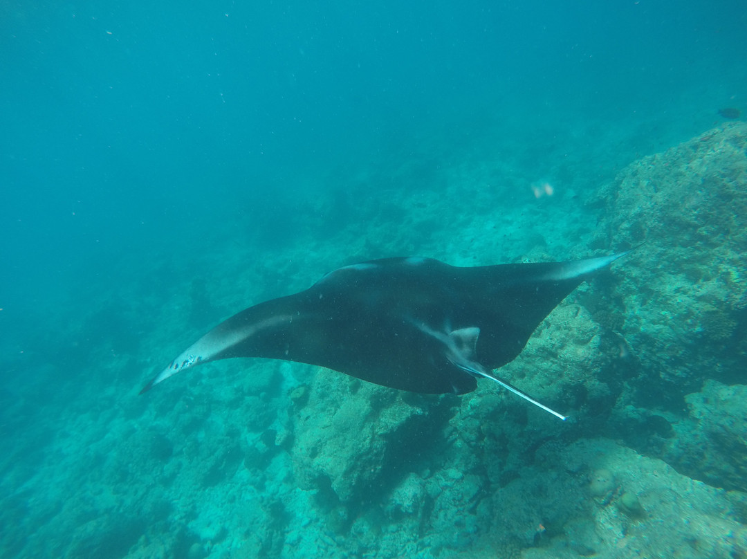 Barukoli sport fishing and excursions