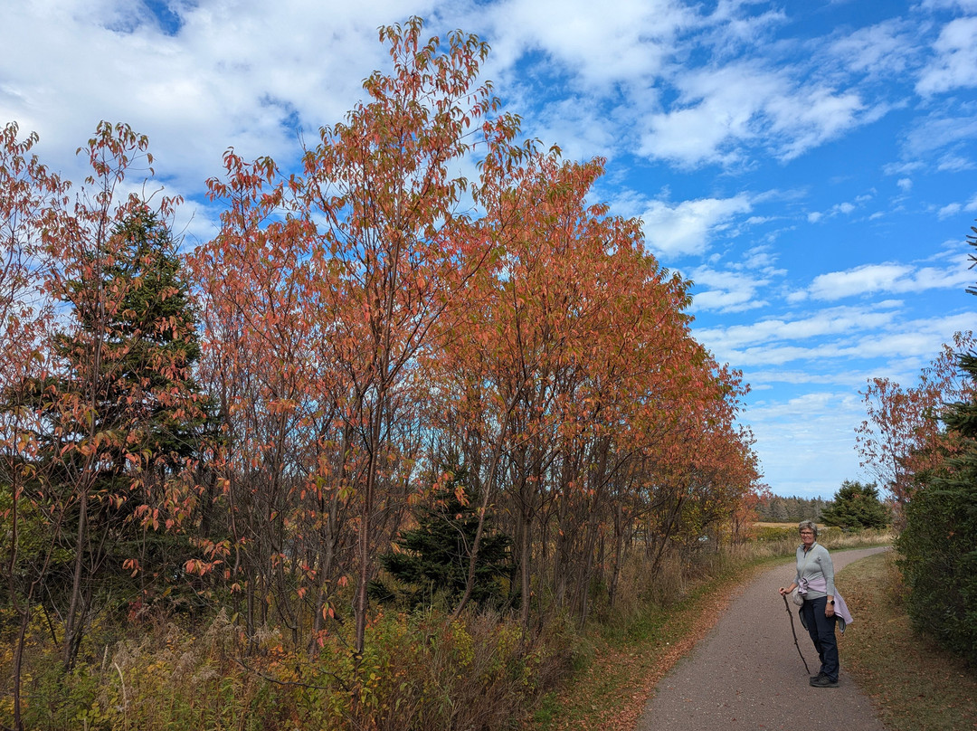 Cavendish Cliffs-卡文迪西必去景点