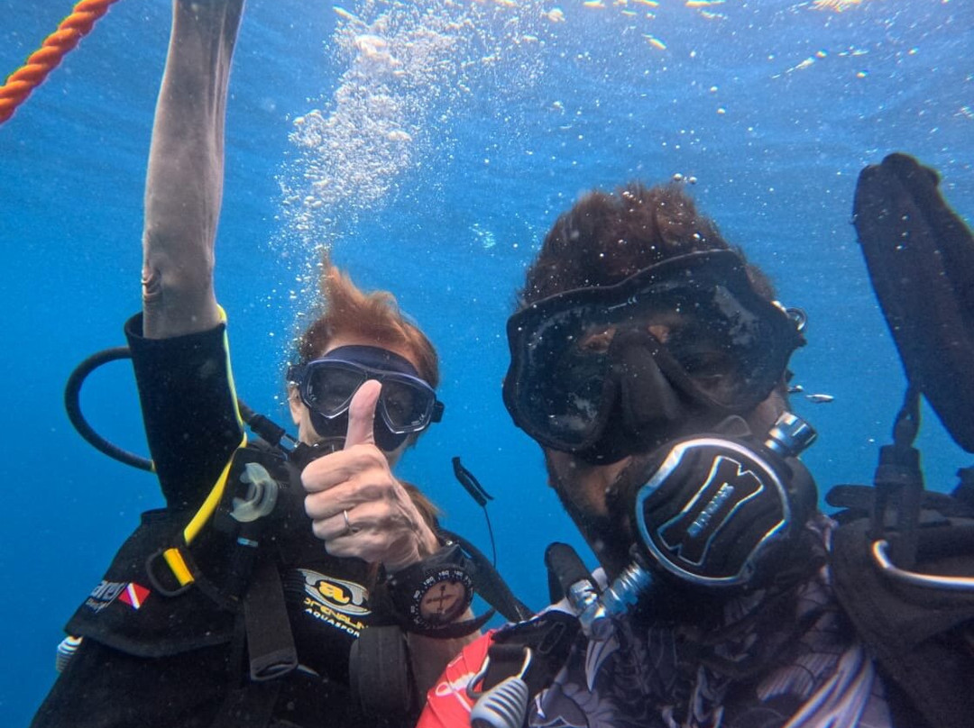 Scuba Addicts-拉非尼亚山必去景点