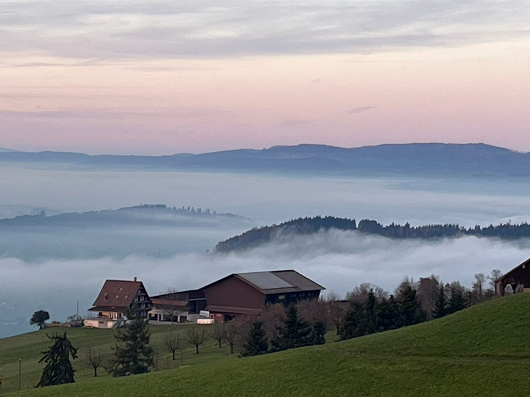 Luftseilbahn Seebodenalp-屈斯纳赫特瑞吉必去景点