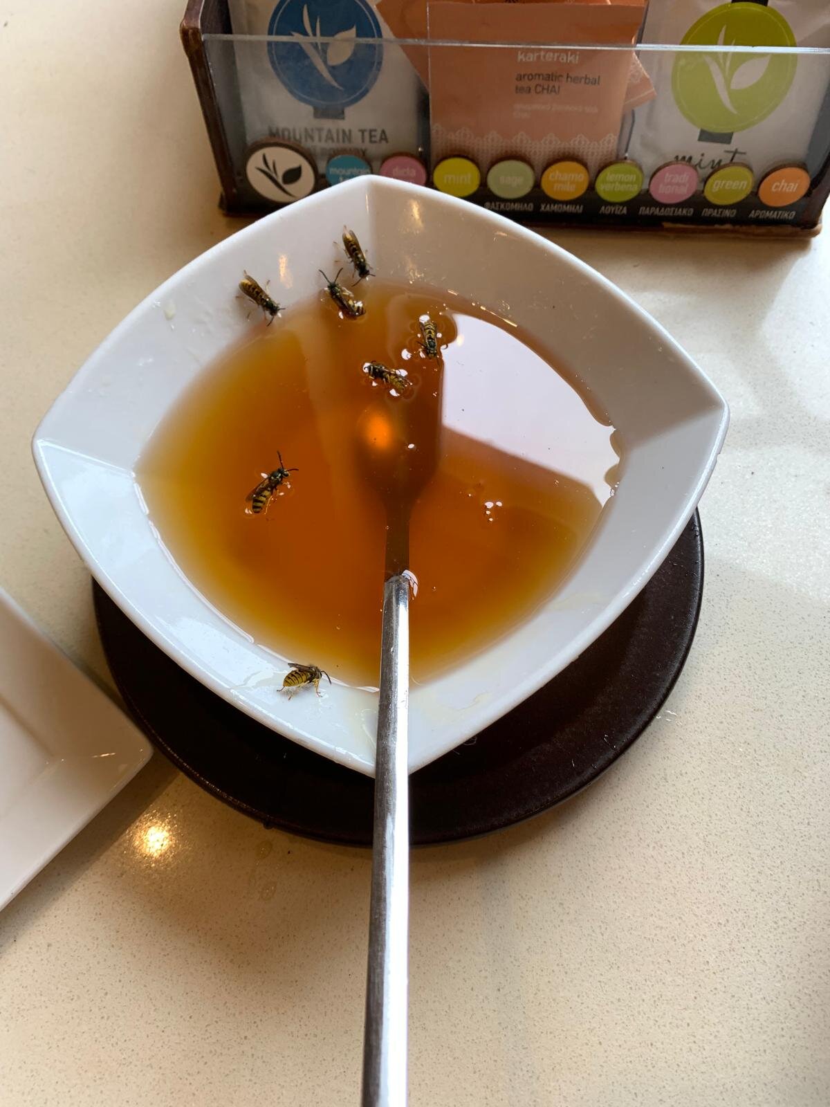 Kalimera Kriti Hotel & Village Resort-官方