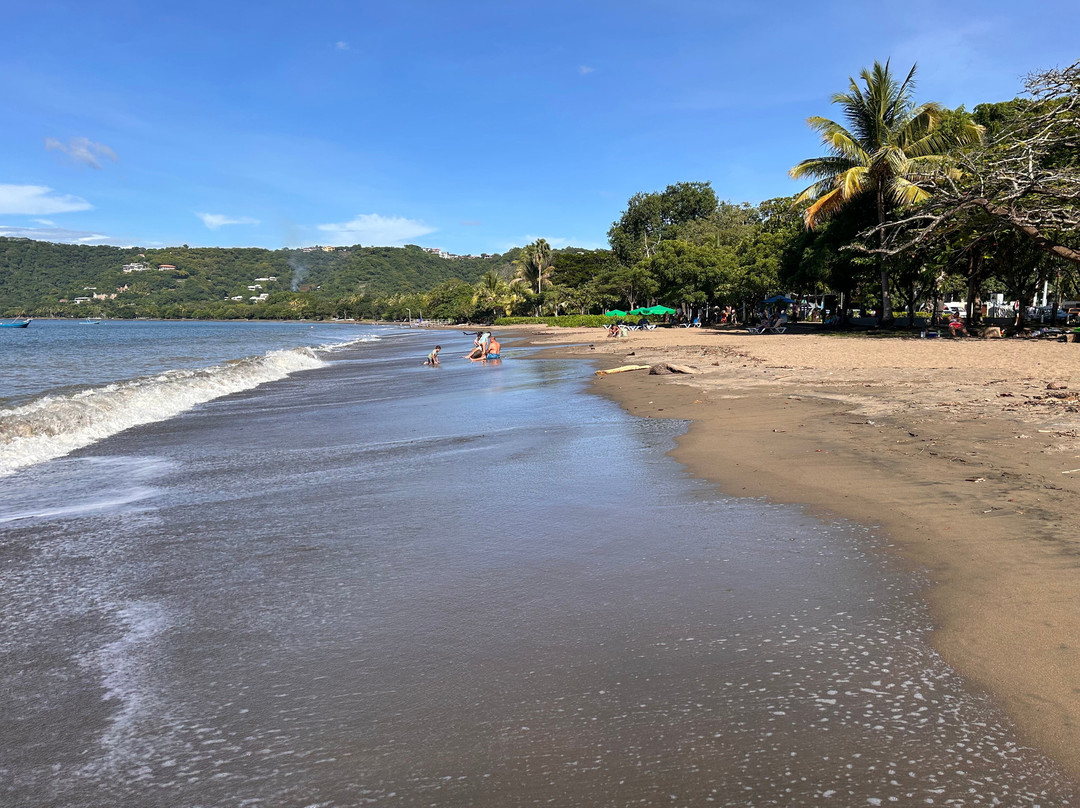 The Palms At Coco Beach主图