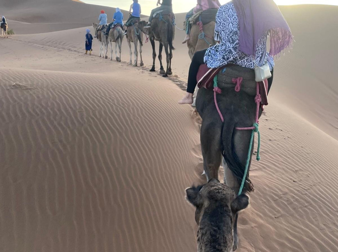 Saharaemotions4x4 Iaich Elboudani-扎古拉必去景点
