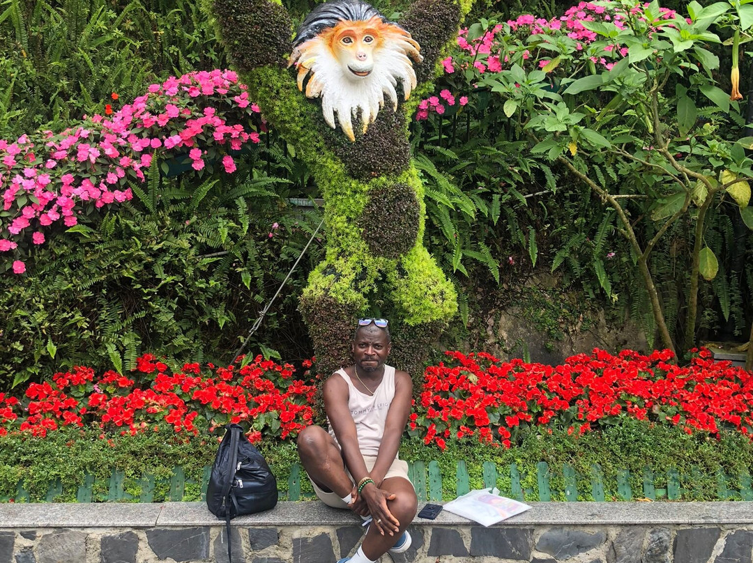 Simply Vietnam Travel-会安必去景点